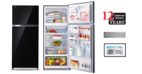 Toshiba 2 Door Fridge [GR-HG55MDZ XK]